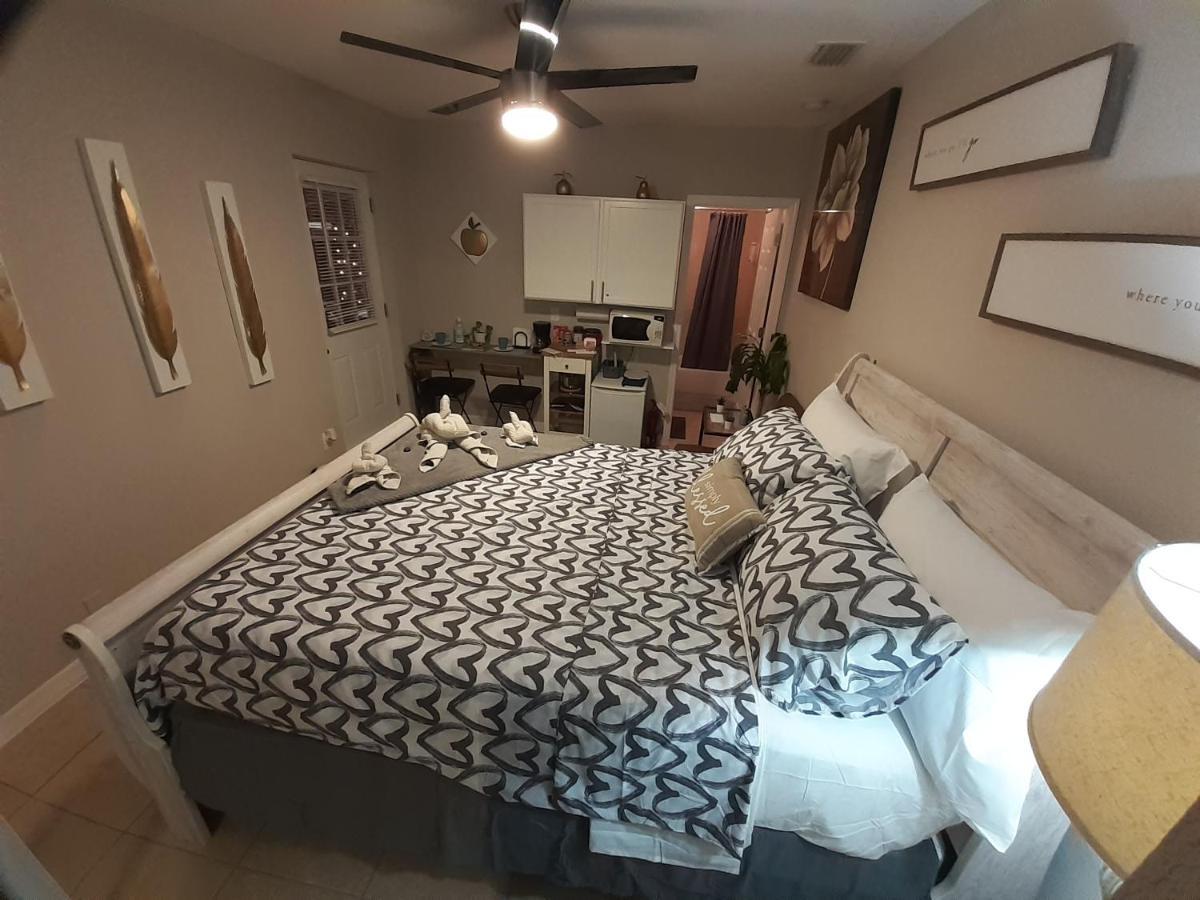 Luxurious Cozy Studio. タンパ エクステリア 写真
